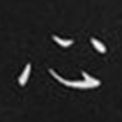 心